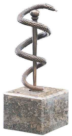 Aesculapius Snake Symbol of Medicine