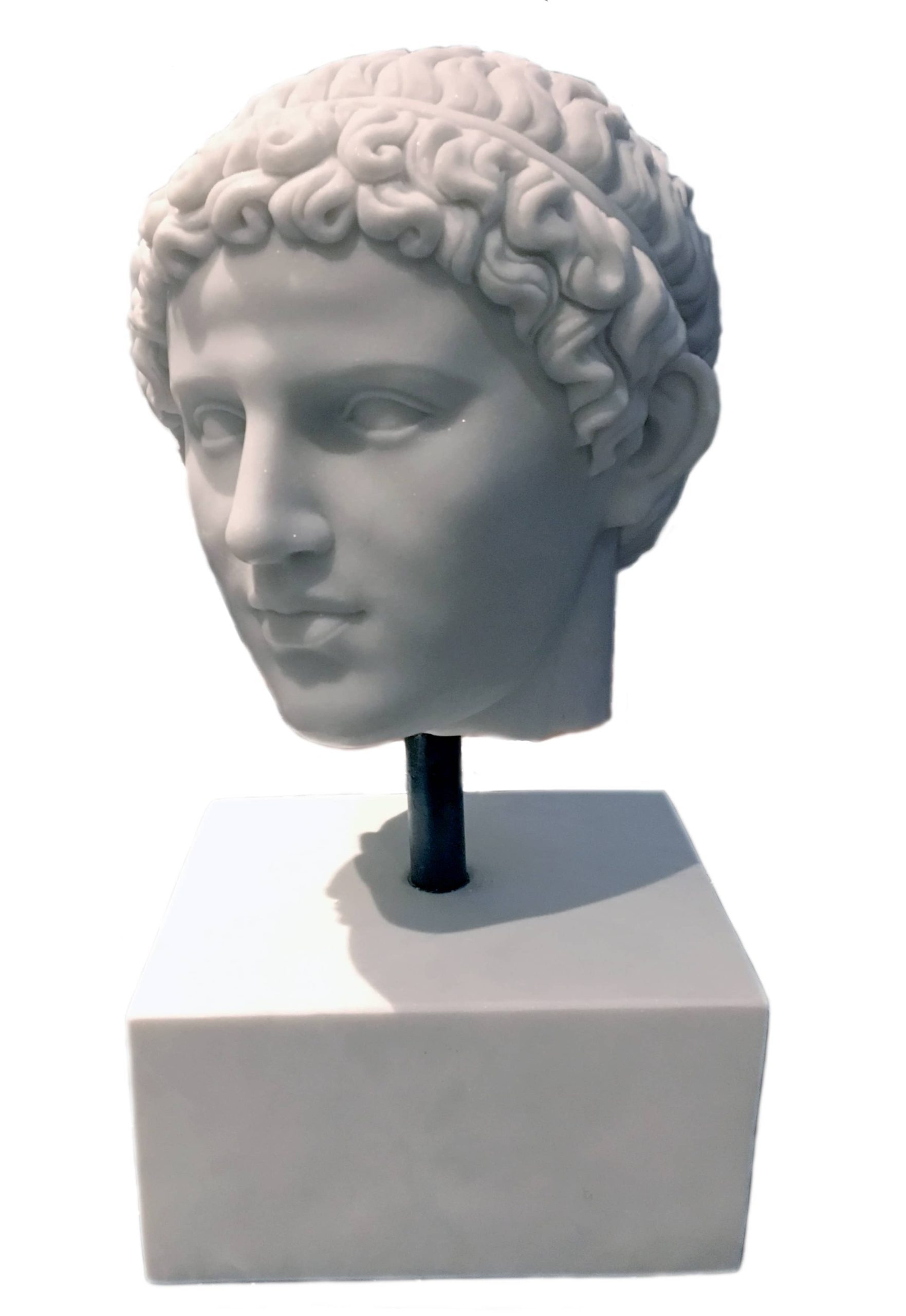 Hephaestion Head Bust from Getty Museum reproduction replica