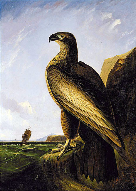 John James Audubon Oil Painting