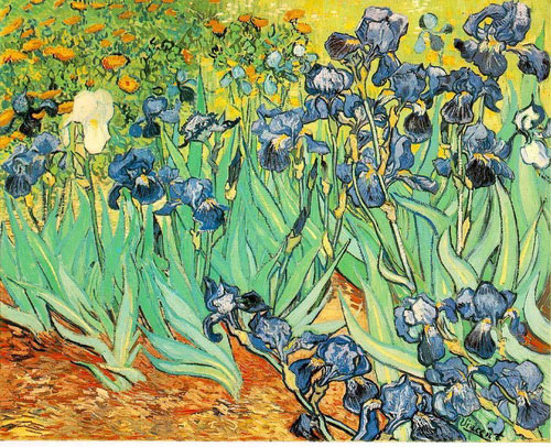 Vincent van Gogh: Irises